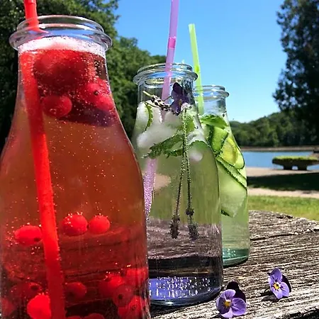 Sikfokut 3* Noszvaj