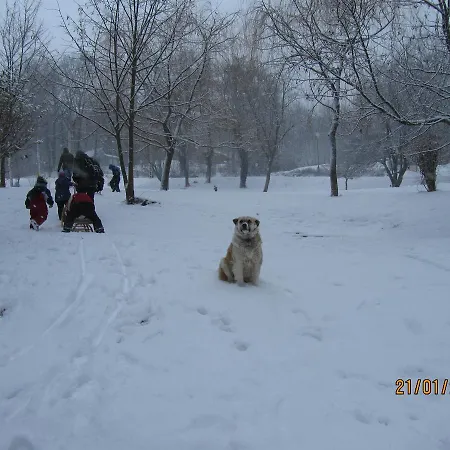 Sikfokut Hotel Noszvaj